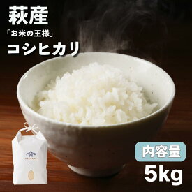 【ふるさと納税】コシヒカリ 令和7年 5kg 米 コメ こめ 萩産 KAMITAMA