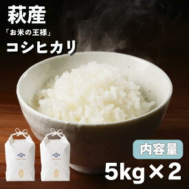 【ふるさと納税】コシヒカリ 令和7年 5kg×2袋 セット 米 コメ こめ 萩産 KAMITAMA