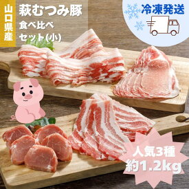 【ふるさと納税】萩むつみ豚 食べ比べセット（小）