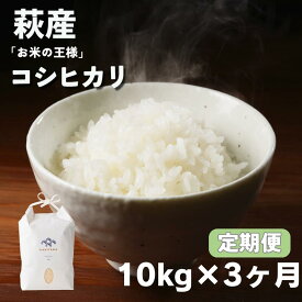 【ふるさと納税】定期便 3か月 コシヒカリ 令和7年 10kg 米 コメ こめ 萩産 KAMITAMA