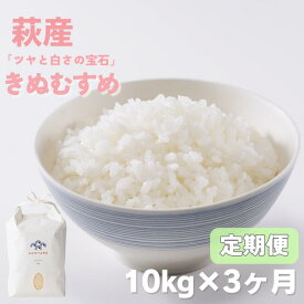 【ふるさと納税】定期便 3か月 きぬむすめ 令和7年 10kg 米 コメ こめ 萩産 KAMITAMA