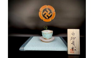 yӂ邳Ɣ[Łz~́wx@^@EA_Ёuv@×@čƁEc׍uWցv