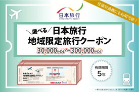 【ふるさと納税】山口県萩市 日本旅行 地域限定旅行クーポン 【選べる旅行クーポン】