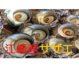 楽天市場 サザエ 産地 都道府県 山口 貝類 魚介類 水産加工品 食品の通販