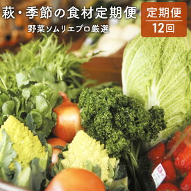 【ふるさと納税】野菜セット 定期便 12ヶ月 萩・季節の食材 野菜ソムリエプロ厳選 野菜 果物 加工品 セット 詰め合わせ お楽しみ　【定期便・ 萩市 】