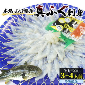 【ふるさと納税】ふぐ 刺身 真ふぐ 140g (70g×2皿) 山口県産 フグ 刺し身 魚 魚介 魚介類 海鮮 天然　【 萩市 】