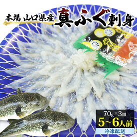 【ふるさと納税】山口県産 真ふぐ 刺身 210g (70g×3皿)　【魚貝類・フグ・ふぐ・魚介類】　お届け：2023年3月下旬より配送