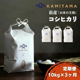 【ふるさと納税】定期便 3か月 コシヒカリ 令和7年 10kg 米 コメ こめ 萩産 KAMITAMA