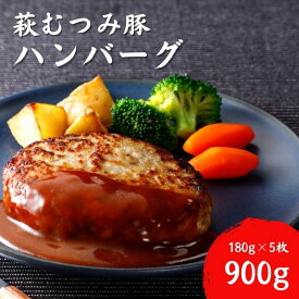 【ふるさと納税】萩むつみ豚 ハンバーグ 180g×5個