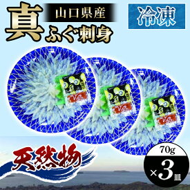 【ふるさと納税】山口県産 真ふぐ 刺身 210g (70g×3皿) 国産 日本産 食品 グルメ 料理 おかず 惣菜 お弁当 非常食 保存食 ご飯のお供 ごはん ご飯 食卓 山口県 萩市 美味しい おいしい プレゼント ギフト プチギフト 贈り物 お中元 人気 おすすめ 贈答用 誕生日プレゼント