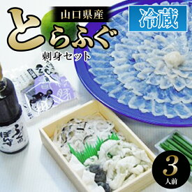 【ふるさと納税】とらふぐ刺身セット3人前【配達不可：離島】