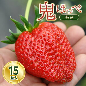 yӂ邳Ɣ[Łz̉w҂̖C`S^uSق؁v I 15 ʕ t[c  XC[c fU[g Y {Y Hi O H R s   v[g Mt