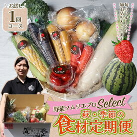 【ふるさと納税】野菜ソムリエプロselect／萩・季節の食材セット　お試し1回コース