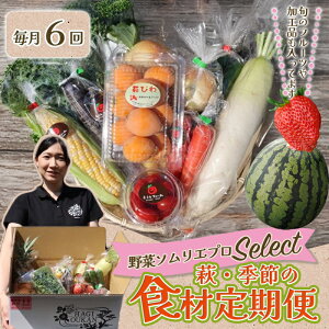 yӂ邳Ɣ[Łz؃\Gvselect^EG߂̐Hޒ Y {Y Hi Hו O VN H H   y ٓ т̂ H R s   v