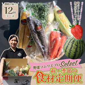 yӂ邳Ɣ[Łz؃\Gvselect^EG߂̐Hޒ 12R[X Y {Y Hi Hו O VN H H   y ٓ т̂ H R s  