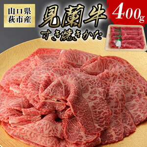 yӂ邳Ɣ[Łzʌ  Ă  400g RsY  Y Ăp ₫ Ă   