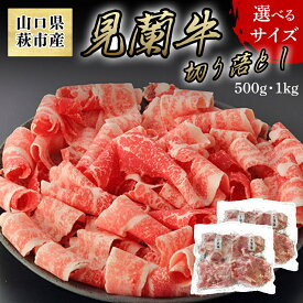 【ふるさと納税】【数量限定】山口県萩市産 見蘭牛 切り落とし 500g 〜 1kg