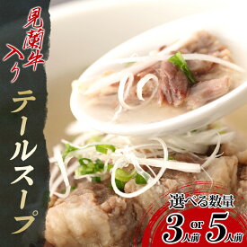 【ふるさと納税】【選べる！セット】見蘭牛入りテールスープ 国産 日本産 食品 グルメ 料理 おかず 惣菜 お弁当 非常食 保存食 ご飯のお供 ごはん ご飯 食卓 山口県 萩市 美味しい おいしい プレゼント ギフト プチギフト 贈り物 お中元 人気 おすすめ 贈答用 お祝い