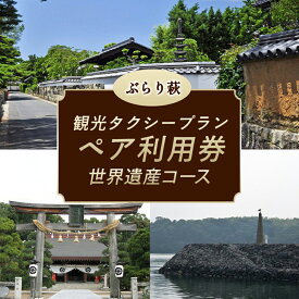 【ふるさと納税】「ぶらり萩・世界遺産コース」観光タクシープランペア利用券