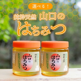 【ふるさと納税】純粋天然 山口のはちみつ