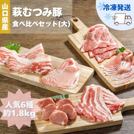 【ふるさと納税】萩むつみ豚 食べ比べセット（大）