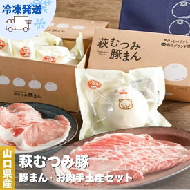 【ふるさと納税】萩むつみ豚 豚まん・お肉手土産セット（保冷バッグ付）