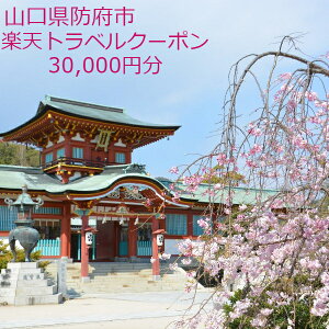 yӂ邳Ɣ[ŁzRh{s̑Ώێ{݂ŎgyVgxN[| tz100,000~(N[|z30,000~)