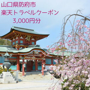 yӂ邳Ɣ[ŁzRh{s̑Ώێ{݂ŎgyVgxN[| tz10,000~iN[|z3,000~j