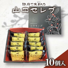 【ふるさと納税】山口セレブ(10個入)【1604663】