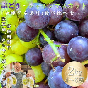 yӂ邳Ɣ[ŁzԂǂEVC}XJbg(S^l)Hה׃Zbg@2kgy1637865z