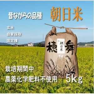 yӂ邳Ɣ[Łz͔|Ԓ_E엿sgpōā@5kgy1669225z