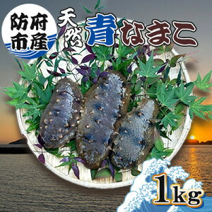 �y�ӂ邳�Ɣ[�Łz�h�{�s�Y�V�R�Ȃ܂�1kg�y�z���s�n��F�����z�y1687984�z