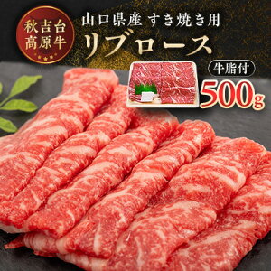 yӂ邳Ɣ[ŁzRY@Hg䍂@u[XĂp@500g_   a u[X Y Ăp r[t R  Hg G јa pa aԌG 