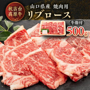 yӂ邳Ɣ[ŁzRY@Hg䍂u[Xē500g_   a u[X Y ē r[t R  Hg G јa pa aԌG Ⓚ O  M