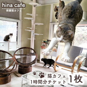 yӂ邳Ɣ[ŁzNo.200 L[1ԗp`Pbg1 ^ hinacafe LJtF یL V Gꍇ ʐ^Be ܂   R