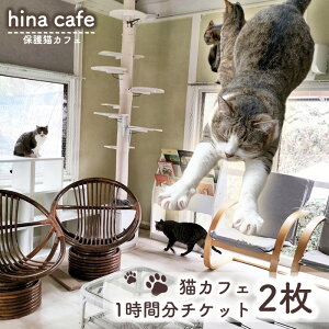 yӂ邳Ɣ[ŁzNo.202 L[1ԗp`Pbg2 ^ hinacafe LJtF یL V Gꍇ ʐ^Be ܂   R