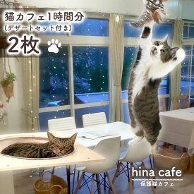 【ふるさと納税】 デザートセットチケット2枚 ／ hinacafe 猫カフェ スイーツ ドリンク 保護猫 遊び 触れ合い 写真撮影 まったり 癒し 送料無料 山口県 No.204