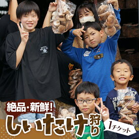 【ふるさと納税】 【★絶品・新鮮★しいたけ狩り！】もぎたてを焼いて試食もできるしいたけ狩り！ファミリー・女性・カップルに◎♪ ／ 体験チケット 収穫体験 レジャー 椎茸 シイタケ ハウス内 雨天可 送料無料 山口県 No.207