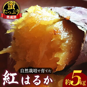 �y�ӂ邳�Ɣ[�Łz ���R�͔|�ň�Ă� �������Ղ� �g�͂邩 ���n���ρ� ��5kg �^ ���_�� �V�N ���Y��� �����w�엿 ���܂��� �T�c�}�C�� �������� �R���� No.221