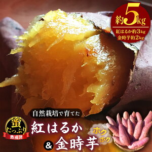 �y�ӂ邳�Ɣ[�Łz ���R�͔|�ň�Ă��������Ղ�g�͂邩���z�N�z�N�������@���n���ρ� ��5kg �^ ���_�� �V�N ���Y��� �����w�엿 ���܂��� �T�c�}�C�� �������� �R���� No.223