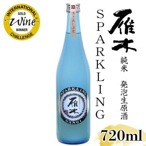  ĔA Xp[NO 720mlySV()z