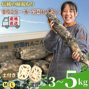 �y�ӂ邳�Ɣ[�Łz�@�� �����R�� �⍑�@�� �⍑��񂱂� �I�ׂ�e�� 3�`5kg �R�������I�I�y�L����� �R�����z