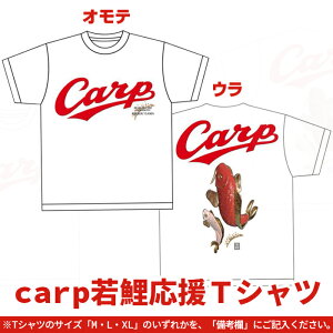 yӂ邳Ɣ[ŁzJ[v LJ[v carpTVc