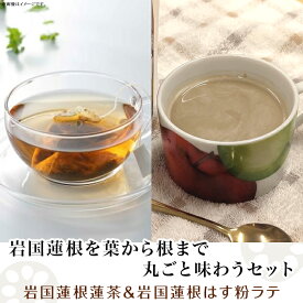 【ふるさと納税】蓮根を葉から根まで丸ごと味わうセット( 蓮根蓮茶＆ミルクで飲む蓮根はす粉ラテの素 ) / 蓮茶 お茶 ティーバッグ ノンカフェイン ラテ 粉末 飲み比べ ドリンク てんさい糖 贈答 ギフト プレゼント 人気 おすすめ / 山口県岩国市/有限会社池本食品[BUAD004]