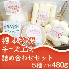 【ふるさと納税】チーズ 人気 詰め合わせ 食べ比べ モッツアレラ ストリング チェリー リコッタ 熟成モッツァレラ 榎本牧場チーズ工房　詰め合わせセット（5種：計480g）【榎本牧場】