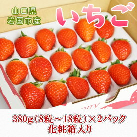 【ふるさと納税】山口県岩国市産「いちご」2パック（1パック380g（8粒～18粒）×2）化粧箱入り ※プラス個包装2個