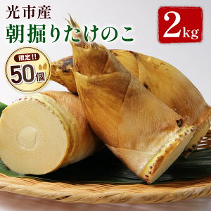 yӂ邳Ɣ[ŁzYA01 sY@肽̂ 2kg RsY ̂  ^PmR Y  { VN ̂肽 ϕ X` ݂