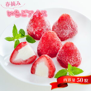 yӂ邳Ɣ[ŁzA010 tE ACXi50j ܎ ACX  ACX ACXN[  XC[c  َq fU[g lߍ킹