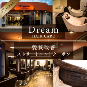 yӂ邳Ɣ[ŁzAV01 Dream HAIR CARE PXg[ggN[| `Pbg p wAPA e@ T