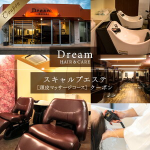 yӂ邳Ɣ[ŁzAV02 Dream HAIR  CARE XLvGXei}bT[WR[XjN[| `Pbg p wAPA }bT[W  XJvPA e@ GXe T